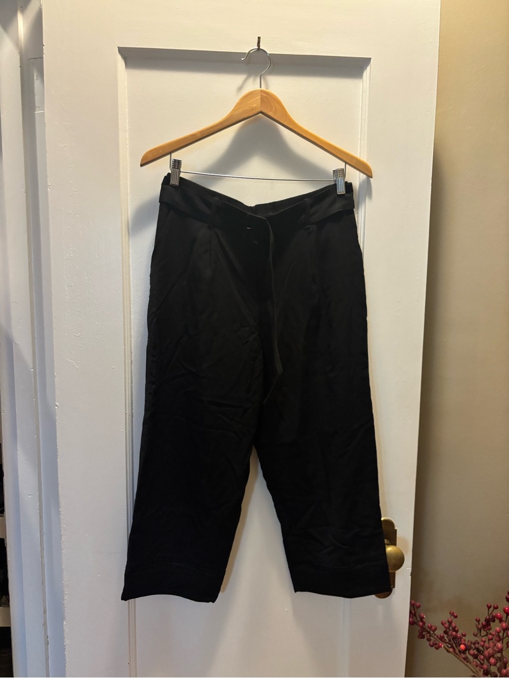 Club Monaco Casual Cropped Pants